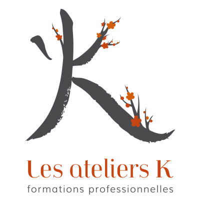 Logo k texte gris fondtransparent
