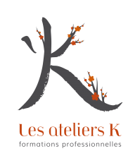 Logo k texte gris fondtransparent